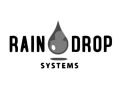 Raindrop is a free and easy-to-use cross-platform web favorite