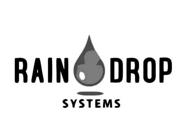 Raindrop is a free and easy-to-use cross-platform web favorite